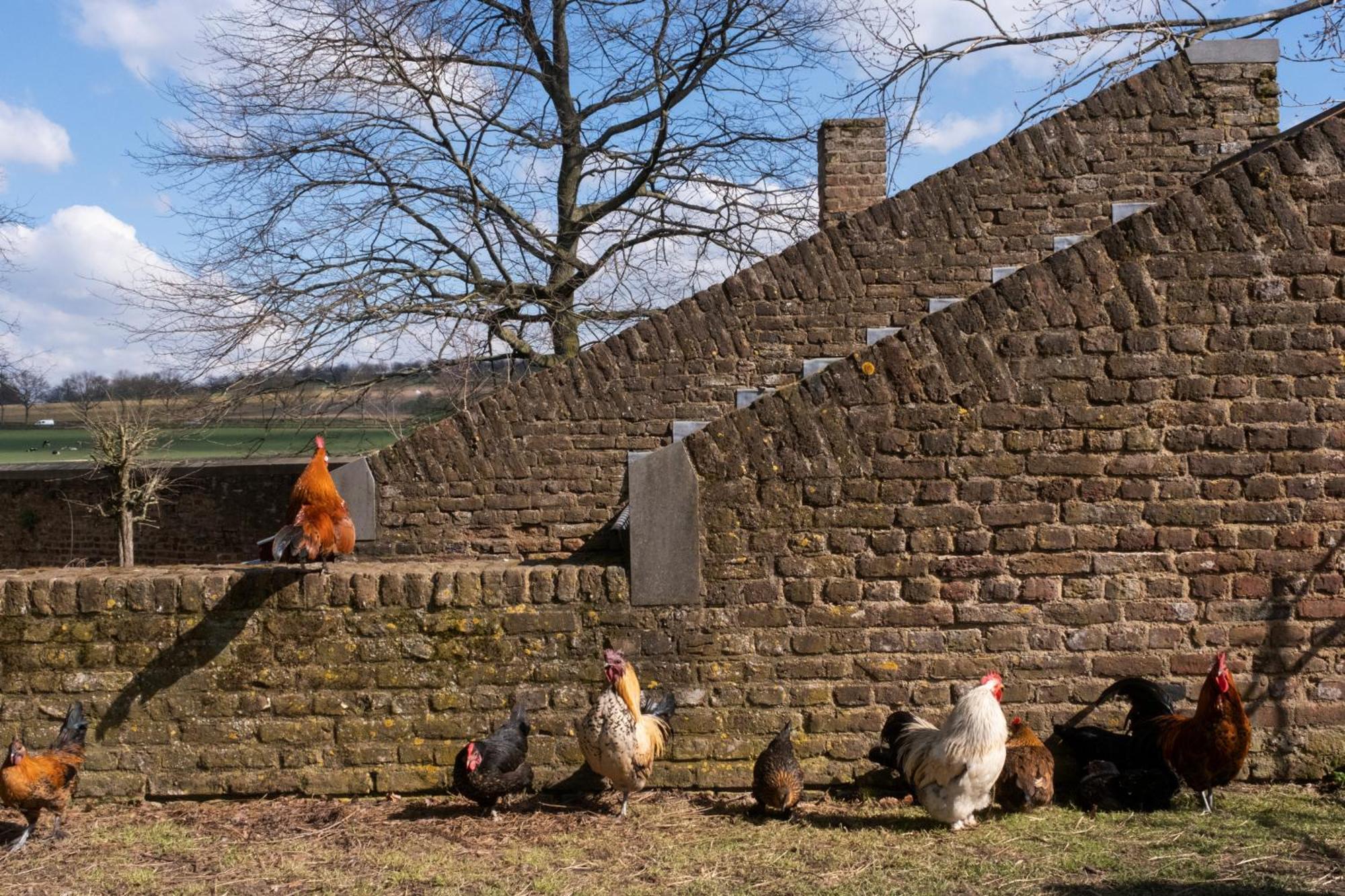 Meschermolen Exterior photo